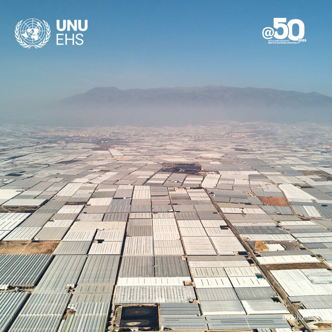 UN University - EHS tweet media