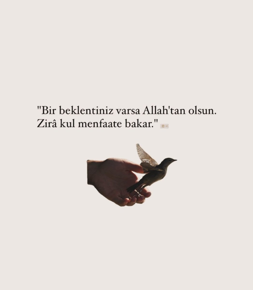 🇹🇷BYFENDİ🇹🇷 (@byfendiii) on Twitter photo 