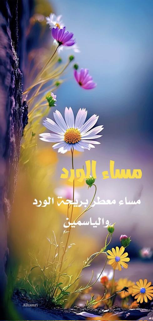 #شبل_بن_زيد tweet media