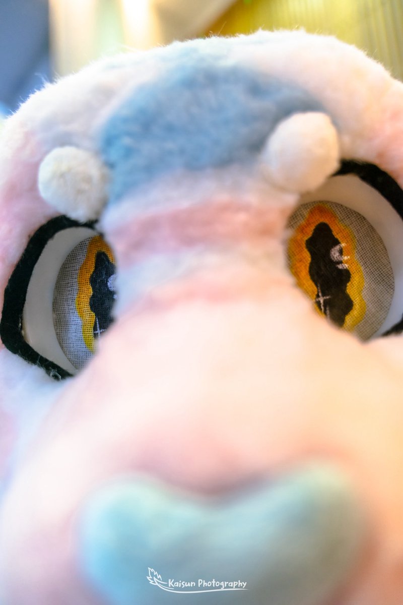 qrt snoot picsss?? Who dis??

📸: <a href="/KaisunDerg/">Kaisun (Sean)</a>