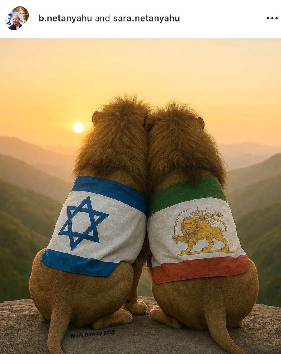 Не тот лев, кто лев, а тот лев, кто лев. Ауффф