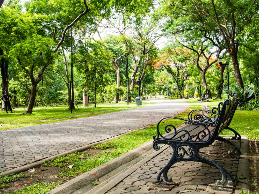 Whether it’s to exercise, for fresh air or for peace of mind, parks and gardens improve our health and wellbeing 💚
So during this #LoveParksWeek why not get out and go explore a park you have never been to before. #localarea.