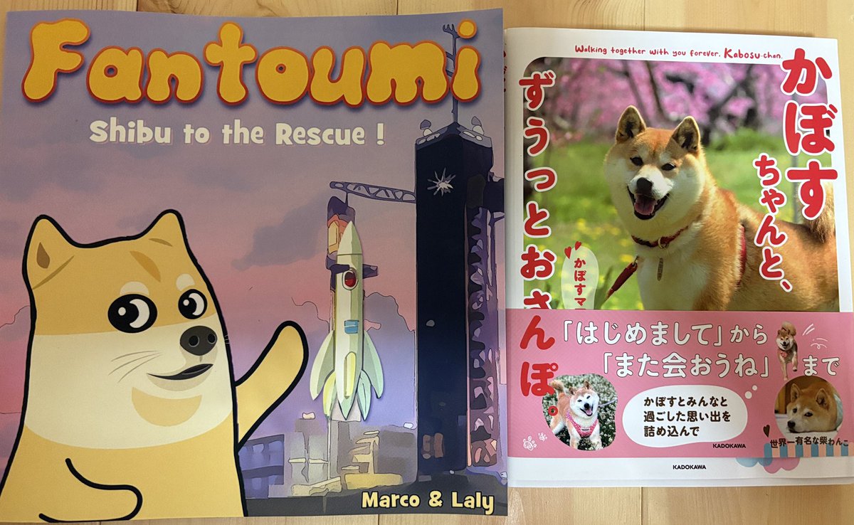 R.I.P kabosu, the best doge in the world