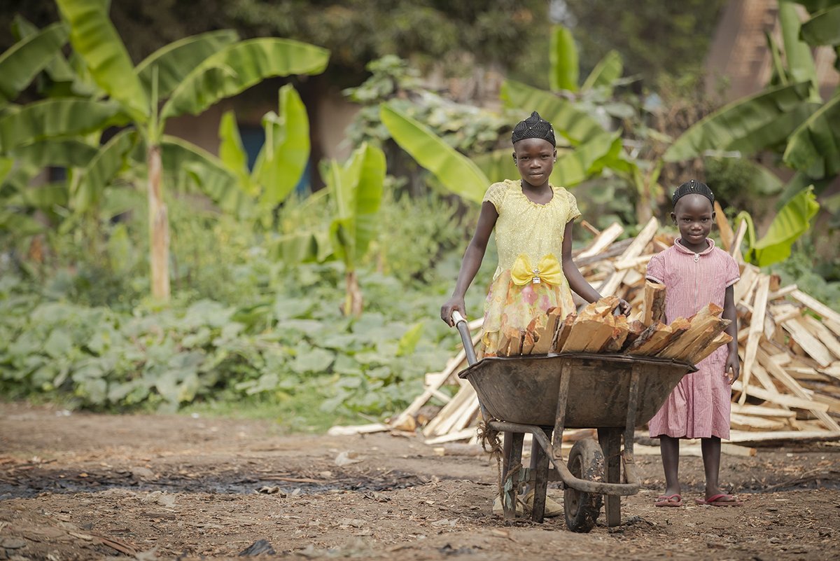 Spotlight on Africa tweet media