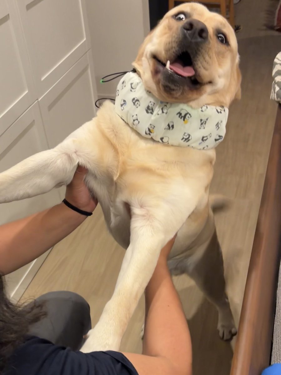 父ちゃん帰って来たのが嬉しすぎてこれ🤭