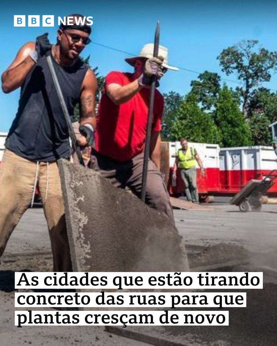 Muitas cidades pelo mundo estão aderindo à despavimentação: substituir o máximo de concreto, asfalto ou outras formas de construção urbana por plantas e terra > bbc.in/4egMzXi

#ArquivoBBC
