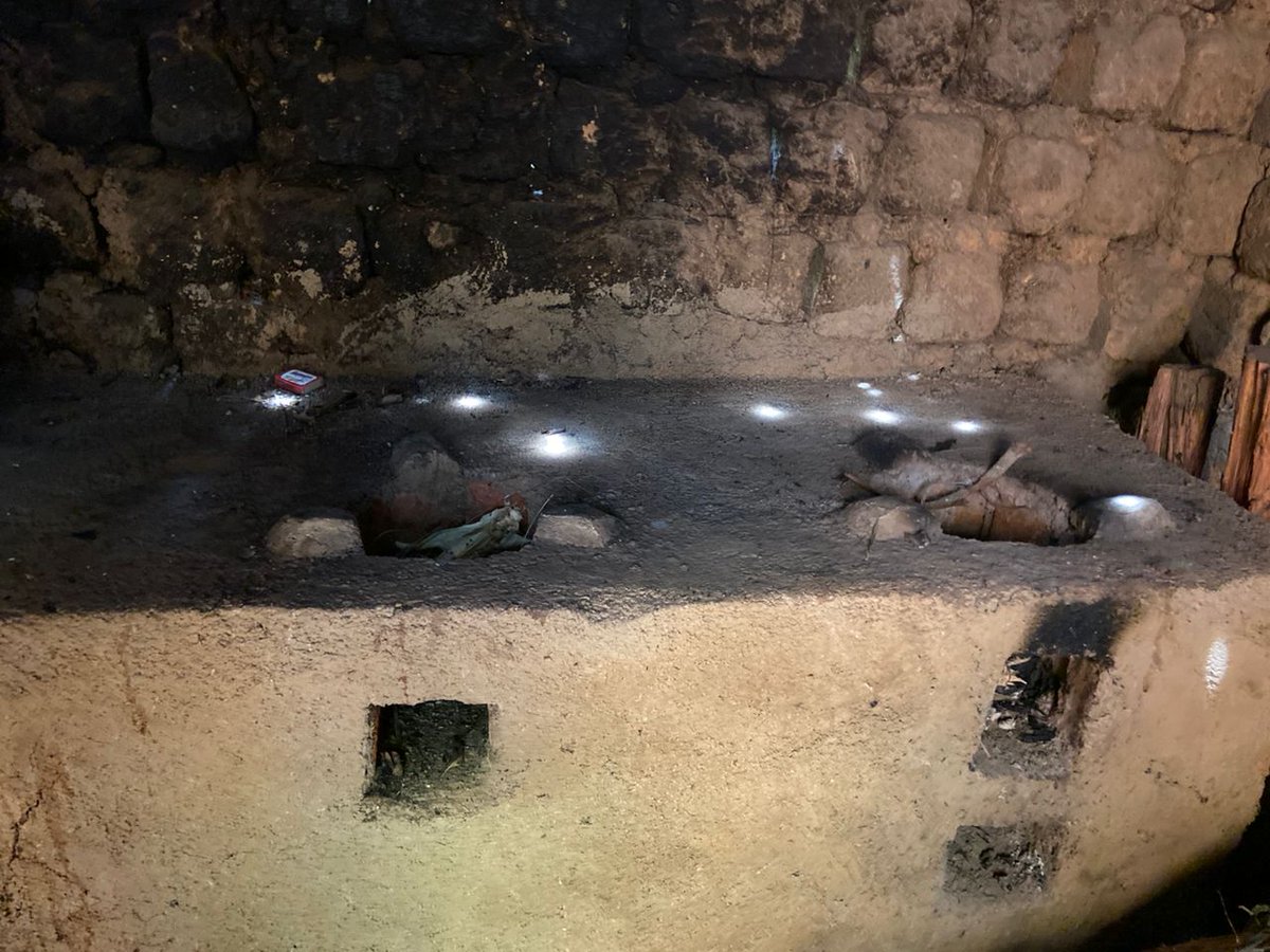 SAFE NGO tweet media