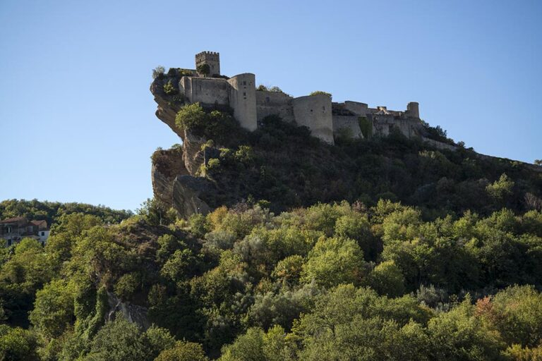 MondoInTasca tweet media