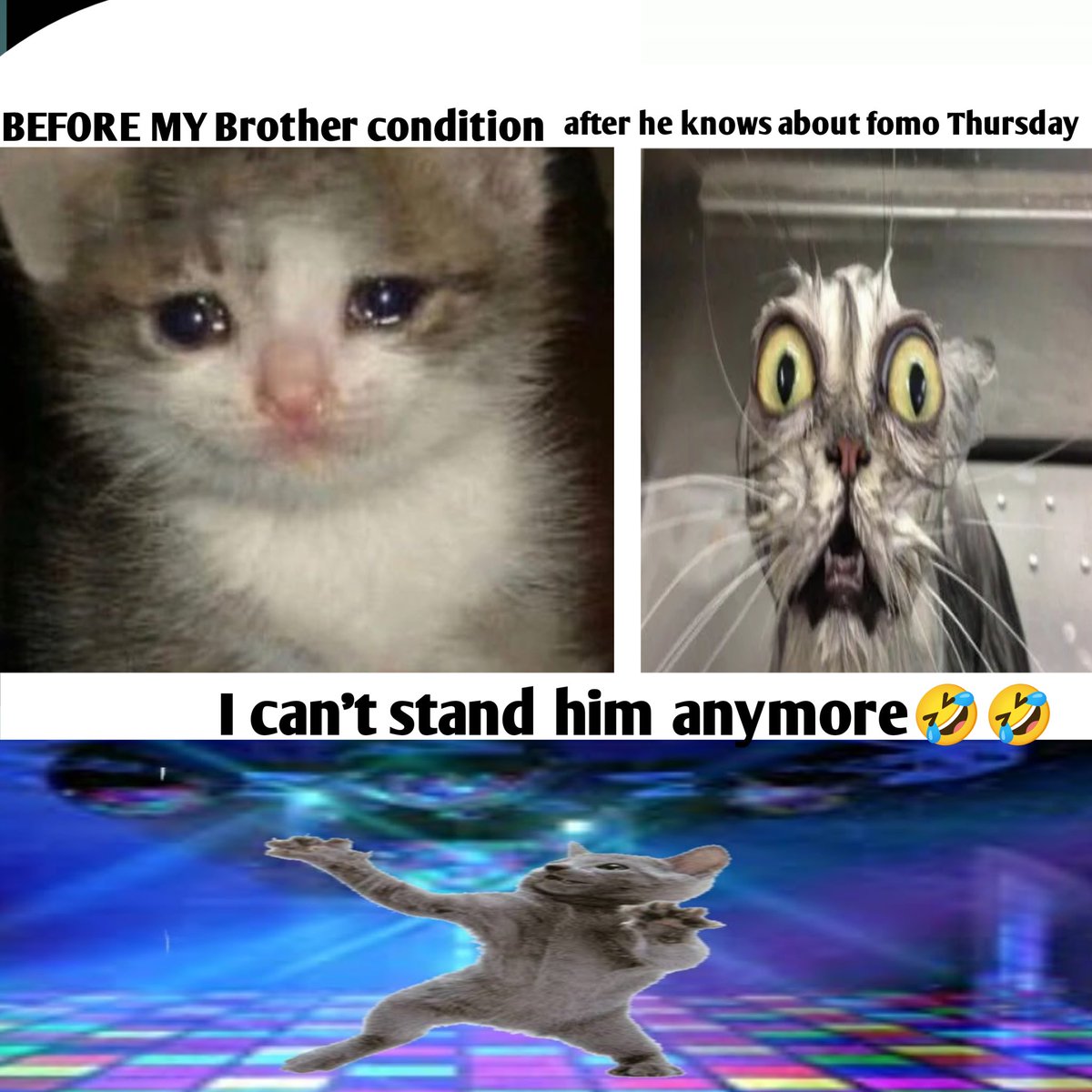 0xARJUN tweet media
