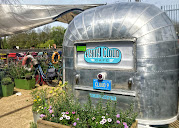 BEHIND THE CLOUD - UP CLOSE WITH OWNER OF THE RIVERSIDE CAFE -  teddingtontown.co.uk/2025/06/24/beh…