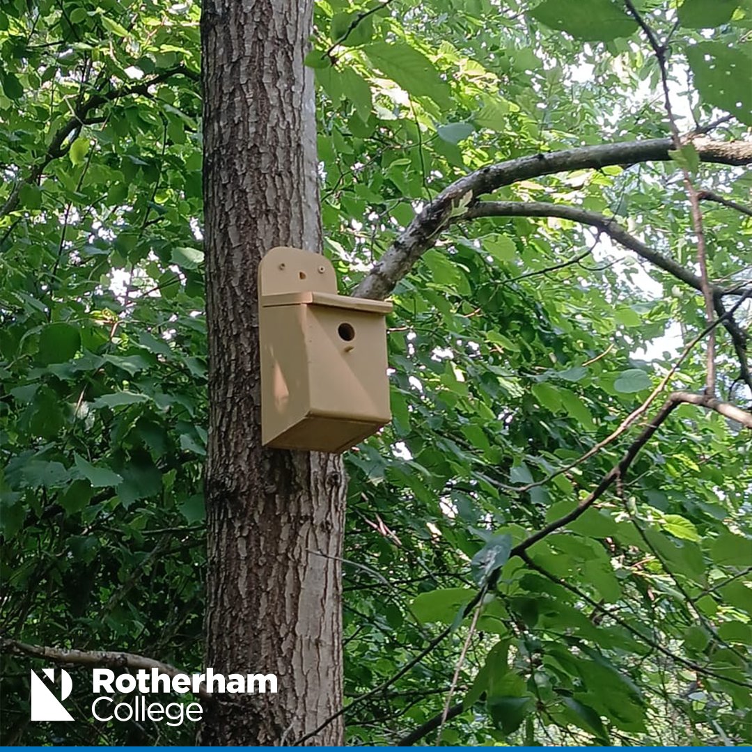Our Pathways to Joinery students have crafted bespoke bird boxes for Thornberry Animal Sanctuary and Manvers Lake. 🛠️🐦

rotherham.ac.uk/news/joinery-s…

#Birdbox #Joinery #College #Rotherham #Wildlife