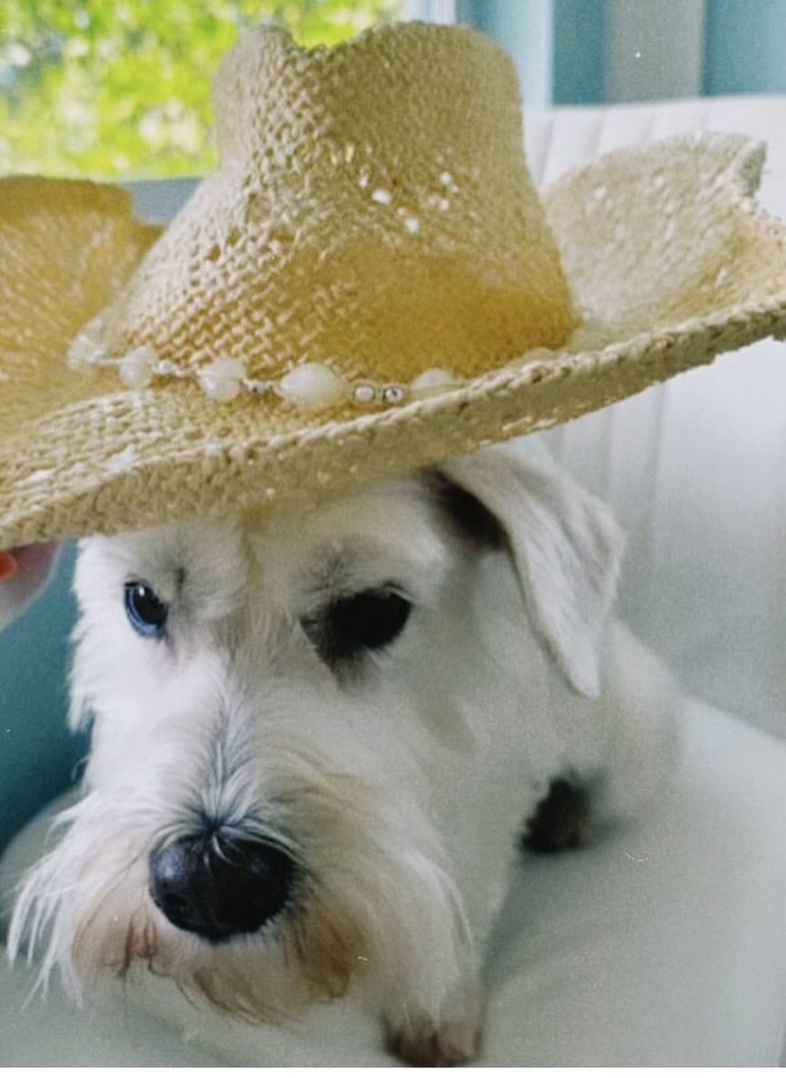 Howdy 🤠