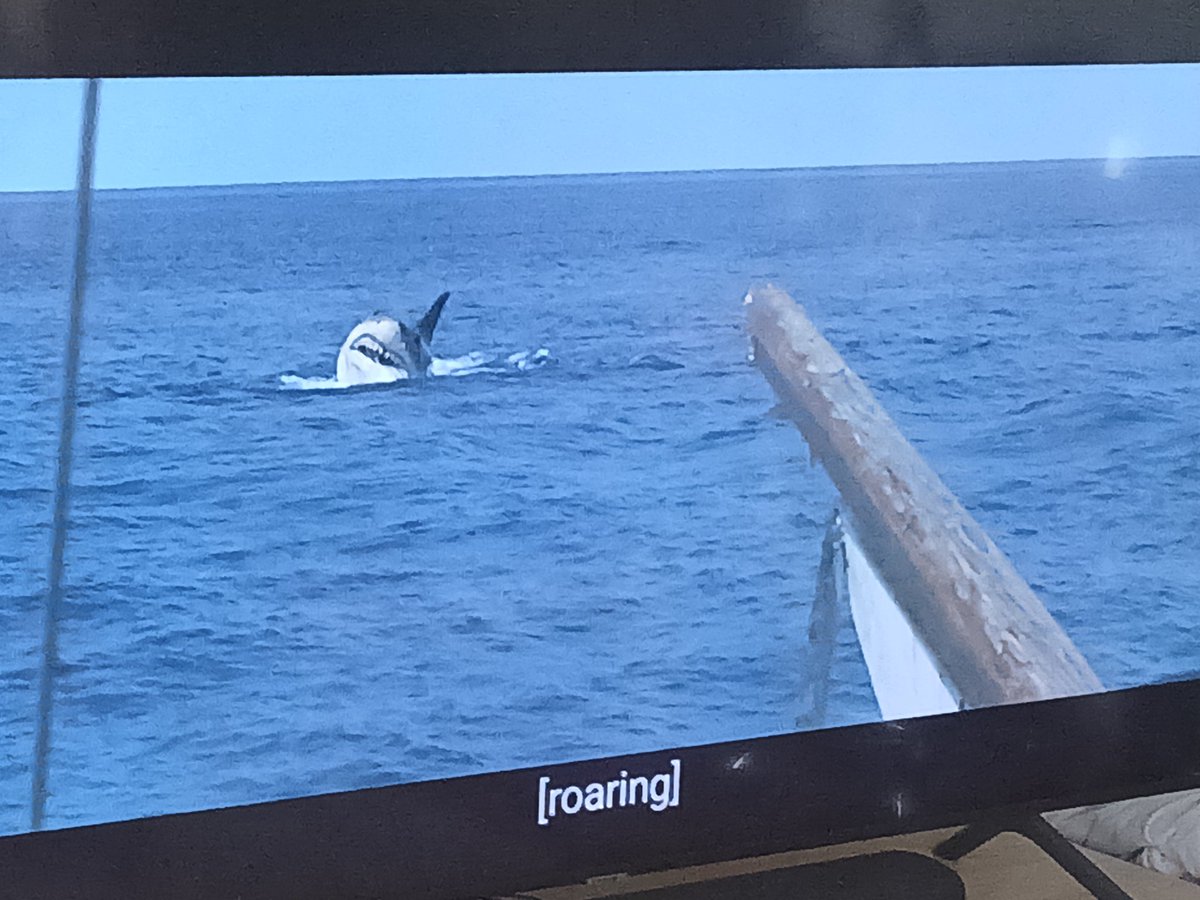 PMDMKE's tweet image. What's the perfect summer Christmas movie and why is it Jaws: The Revenge?