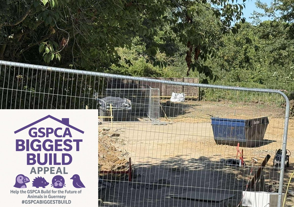 The #GSPCABIGGESTBUILD demolition for the much needed Wildlife Hospital nearly ready for foundations – we desperately need your support, are you helping us build for the future for animals in Guernsey? gspca.org.gg/blog/gspcabigg…