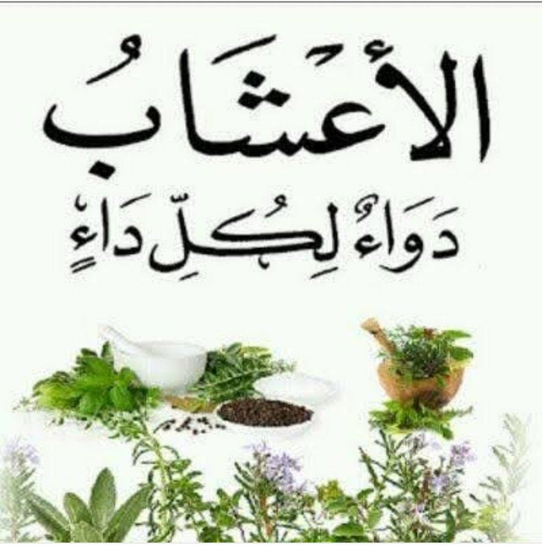 أضفني على سناب شات. اسم المستخدم: jml20255534 snapchat.com/add/jml2025553…