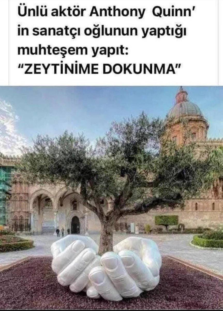 Lütfen zeytinleri kesmeyelim yeşili koruyalım bunlar bize yüzyılların armağanı dedelerimizin dedesinin dedesinin dedesinin armağanı #ZeytinimeDokunma