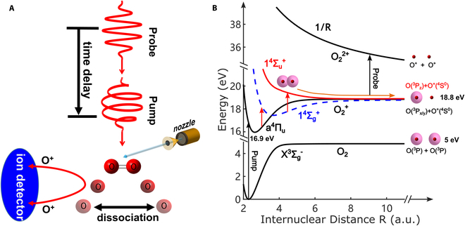 SPJournals's tweet image. JUST PUBLISHED: Probing Coupled Rotational and Electronic Dynamics during Laser-Induced Molecular Fragmentation
Click here to read the latest free, Open Access article from Ultrafast Science: spj.science.org/doi/10.34133/u…