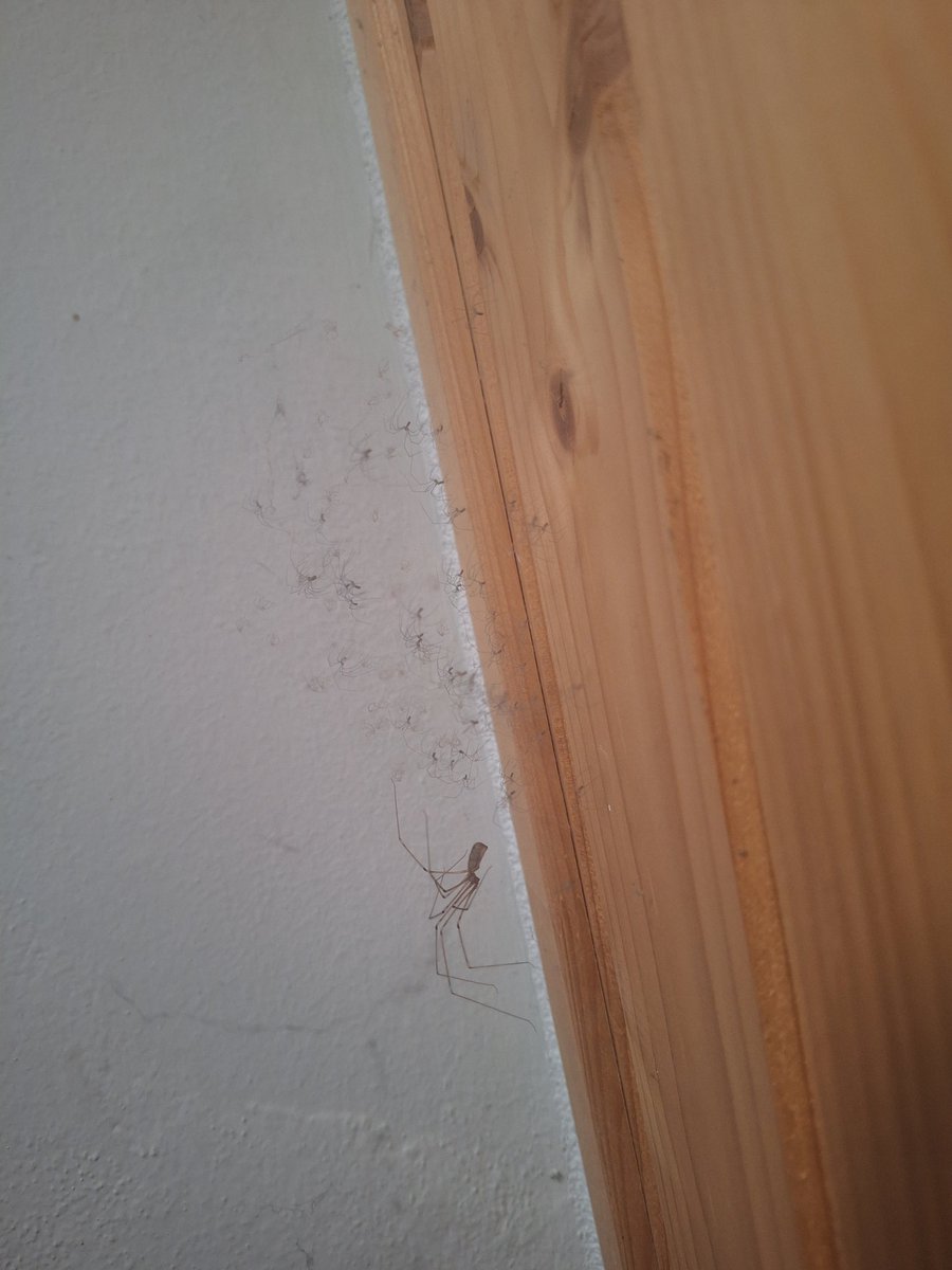 RafhatDimak's tweet photo. Somebody started family in my room. https://t.co/MyguvamReb
