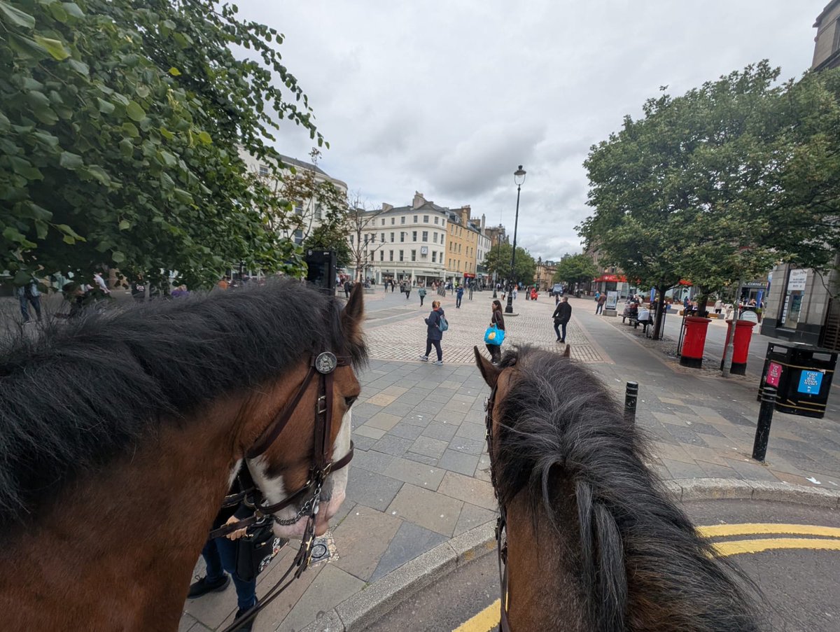 Police Scotland Horses (@psoshorses) on Twitter photo PH’s Eyemouth and Glenluce enjoyed a patrol in Dundee City Centre today. They were glad to see that Desperate Dan, Dawg and Minnie the Minx were behaving themselves. They can also confirm that Oor Wullie was spotted with his famous bucket! <a href="/PSOSTayside/">Police Scotland Tayside</a> #KeepingPeopleSafe PH’s Eyemouth and Glenluce enjoyed a patrol in Dundee City Centre today. They were glad to see that Desperate Dan, Dawg and Minnie the Minx were behaving themselves. They can also confirm that Oor Wullie was spotted with his famous bucket! <a href="/PSOSTayside/">Police Scotland Tayside</a> #KeepingPeopleSafe