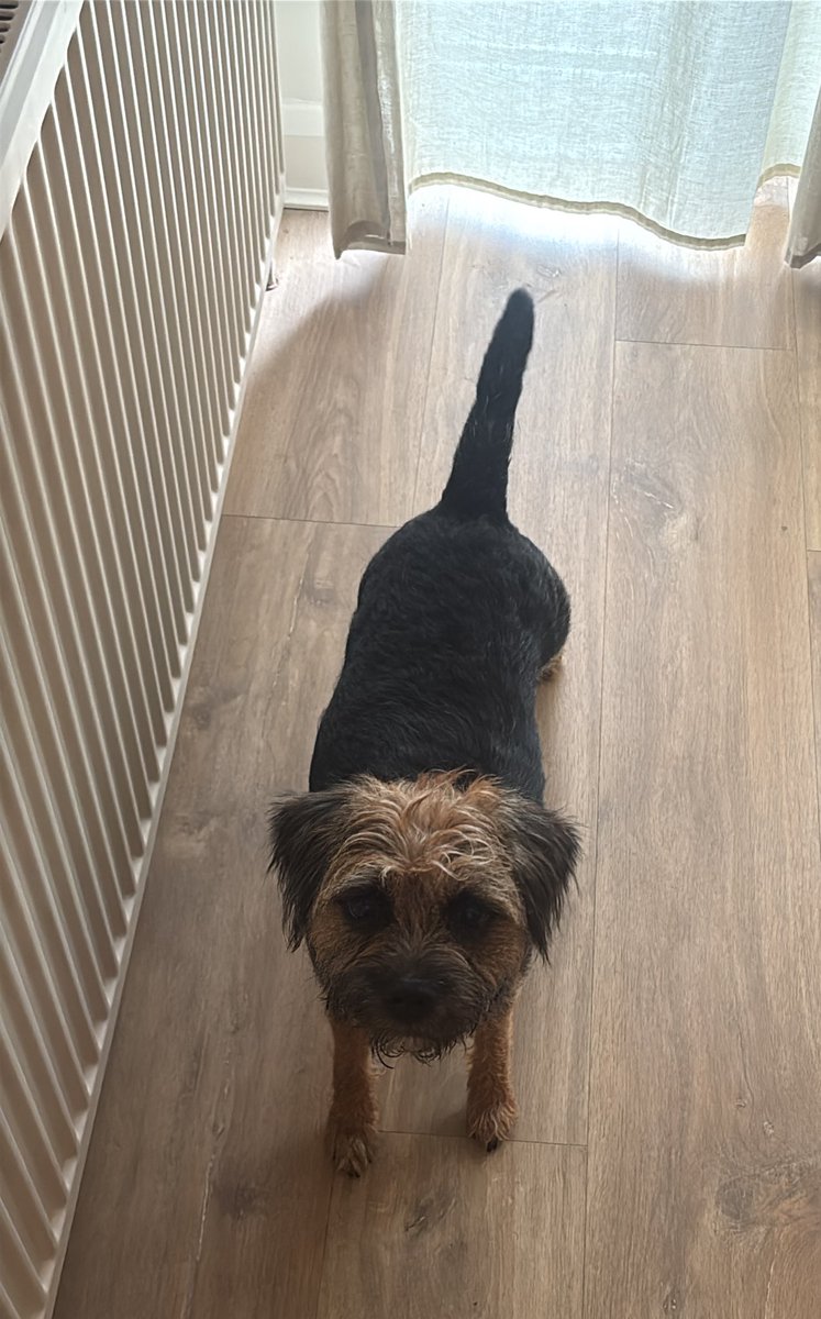 Summer strip = Looking like a pup again 🥹