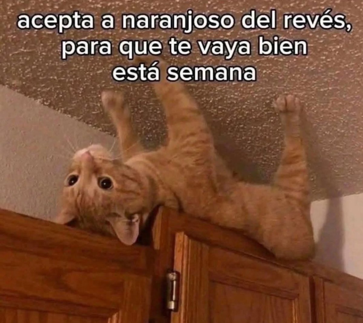 Buenos días gente y tomen agua contra el calor