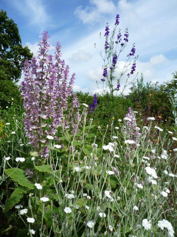 GreenKnoweManor's tweet image. Have you joined us on BlueSky yet? @greenknowemanor.bsky.social
Photo: Kevin Swales