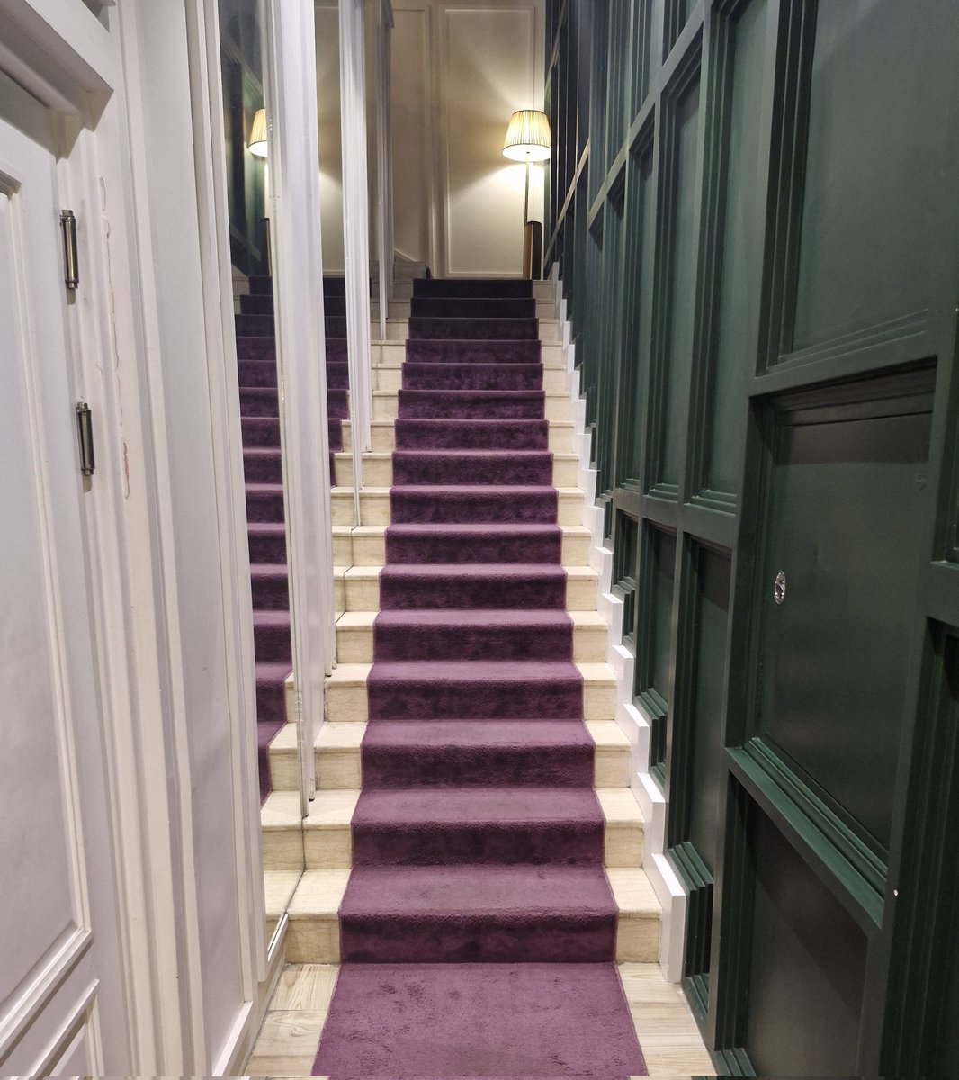a1234a664's tweet photo. Carpeted for my own highness 💜 https://t.co/LbZL01QC1S