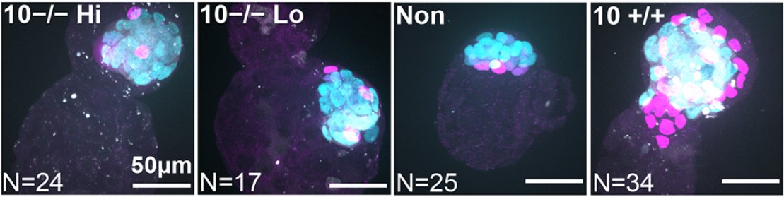 Stanley E. Strawbridge tweet media