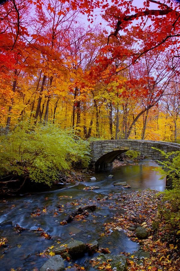 The breathtaking autumn scenery with a stone bridge and a dreamy stream-Very beautiful 😀🌺🌺