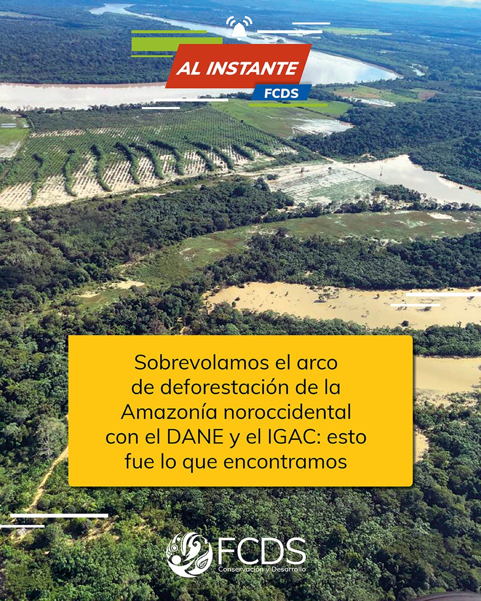 Fundación para la Conservación y el Desarrollo tweet media