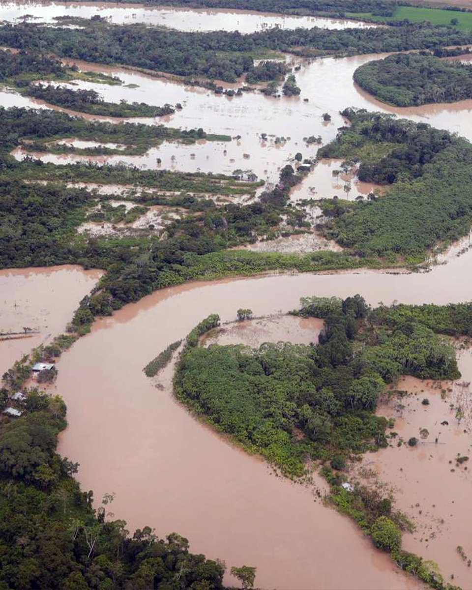 Fundación para la Conservación y el Desarrollo tweet media