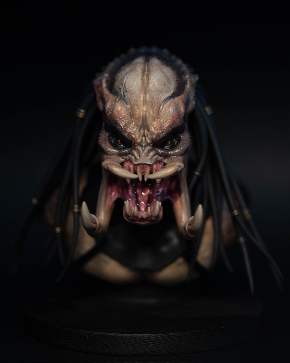 find me somewhere else 🦇🏳️‍⚧️🖤 tweet media