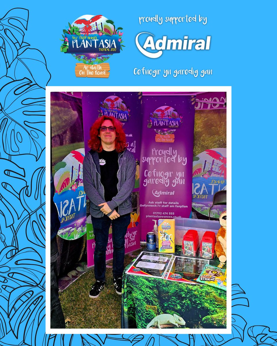 Plantasia Tropical Zoo (@plantasia6) on Twitter photo Weโre heading back to #WalesAirshow! โ๏ธ
Join us on 5โ6 July for wild encounters with #PlantasiaOnTheRoad โ proudly supported by <a href="/AdmiralLife/">Admiral Life</a>
Youโll find us at stand T23 with animals, jungle gifts, and more to help raise funds for the zoo ๐
#GrowYourImagination #TyfuEichDychymyg Weโre heading back to #WalesAirshow! โ๏ธ
Join us on 5โ6 July for wild encounters with #PlantasiaOnTheRoad โ proudly supported by <a href="/AdmiralLife/">Admiral Life</a>
Youโll find us at stand T23 with animals, jungle gifts, and more to help raise funds for the zoo ๐
#GrowYourImagination #TyfuEichDychymyg