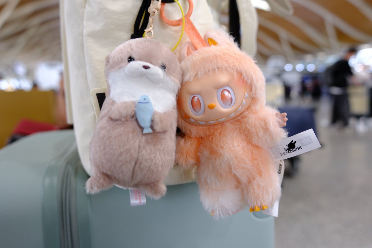 찬달이랑 여행 좀 다녀올게💗
Holi Holi Holi Holiday ~