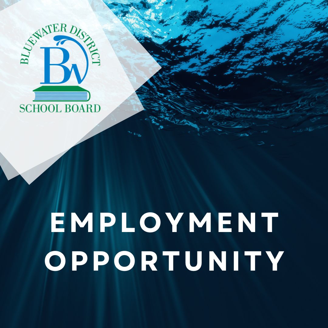JOB POSTING: #BWDSB is seeking a Temporary Full-time Application Support Technician! If you love tech, this is for you! Support our Student Information System, ASPEN. More info: ow.ly/h61W50WfvRs Apply now!