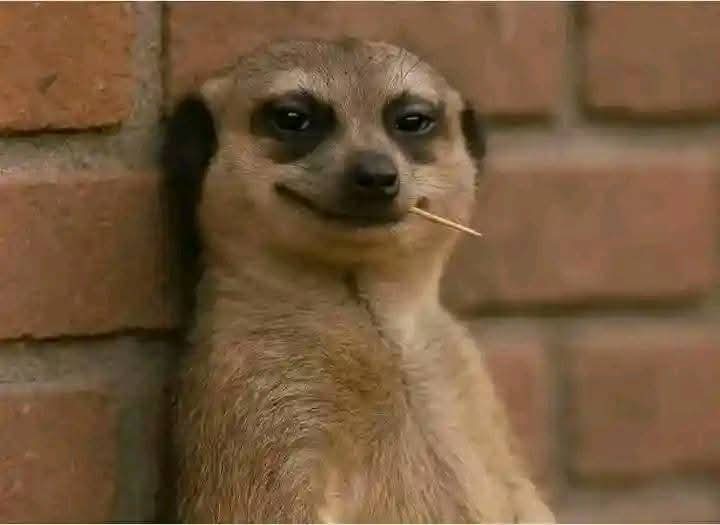 A client asking you to process statutory approvals at the county government and with NCA knowing they will involve a fundi and not you in the execution phase of a project