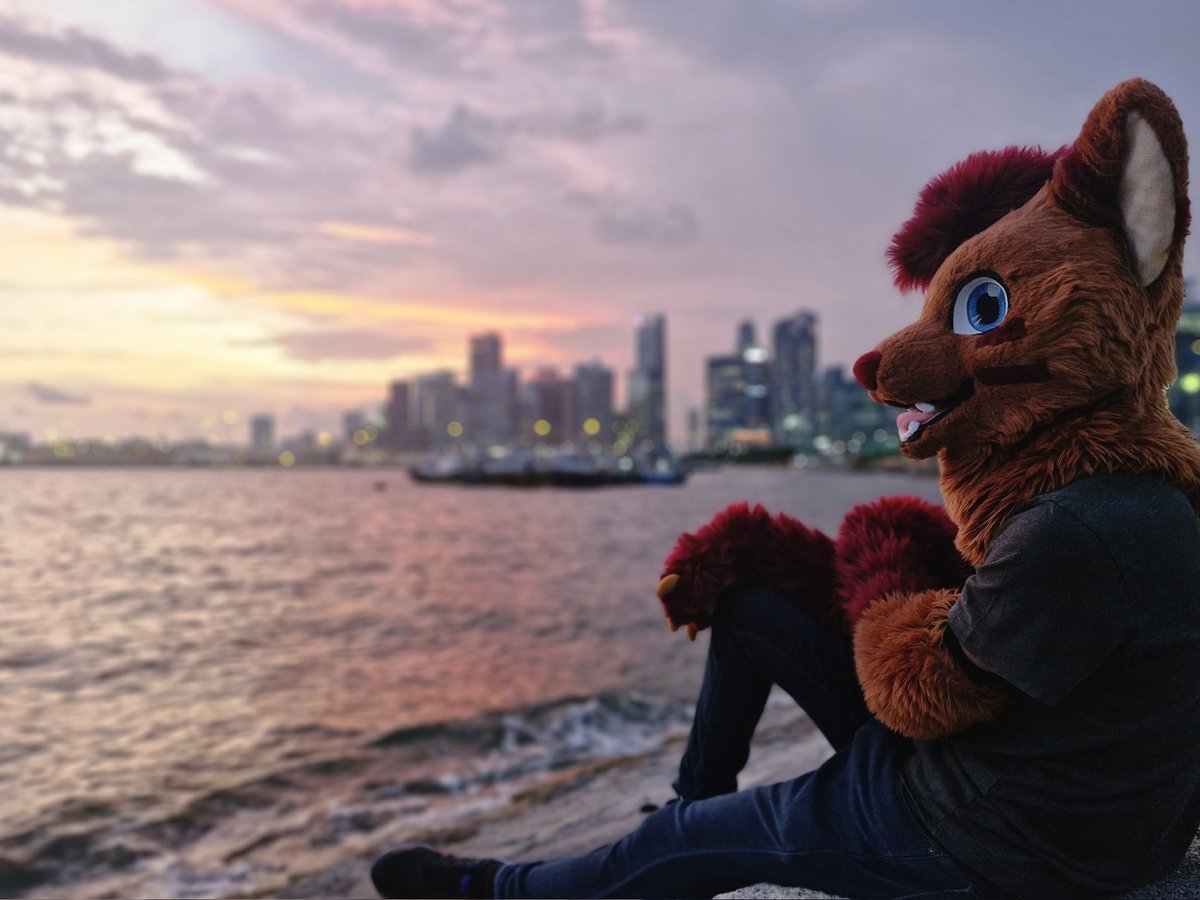 Enjoying the sunset...