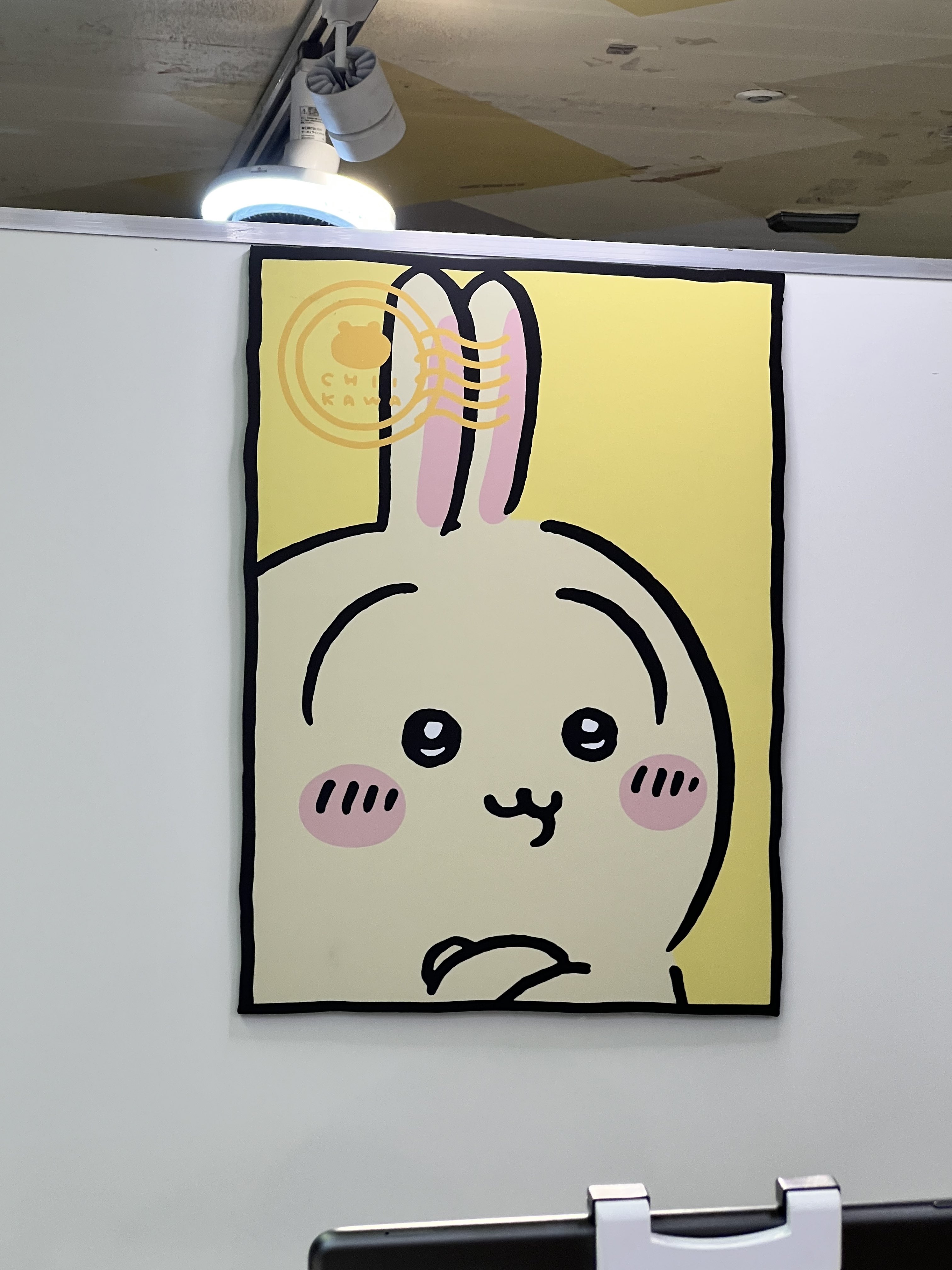 うさぎだらけ～❣️ うさぎ推しだから可愛い幸せ
