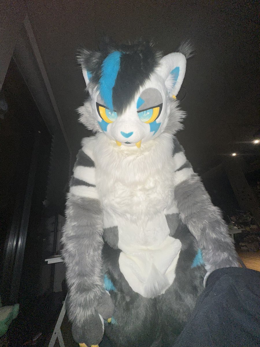 🩵 Jupiter 🔜 FURLANDIA tweet media