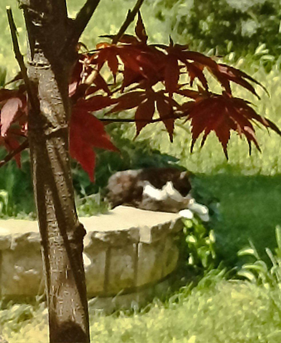 Hakan (@ahmetunlugil) on Twitter photo 