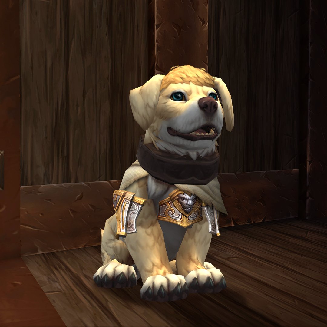 Plus de bruit que de mal et une patte de guérison pour ceux qui en ont besoin. 🐾

Caninduin Wrynn dirige avec honneur... et peut-être une ou deux friandises. 🐶