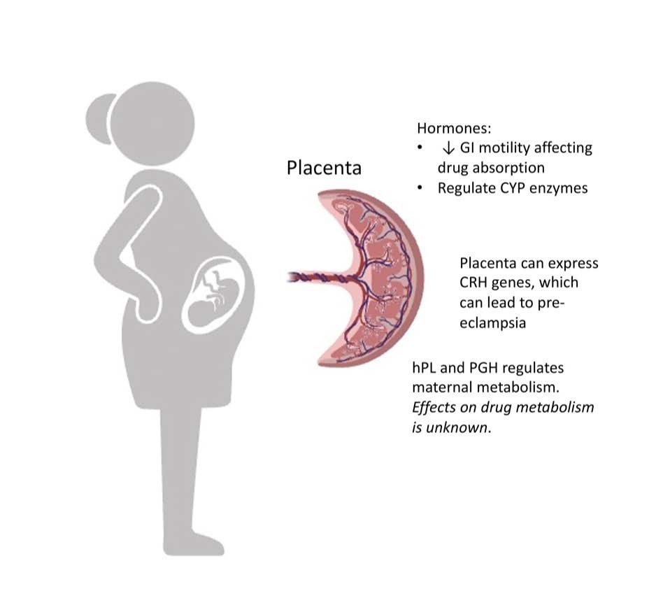 PharmRevJournal's tweet image. The safety of antidepressants during pregnancy is debated due to limited knowledge about their impact on fetal development & long-term outcomes. Researchers from @UofCalifornia focuses on perinatal pharmacotherapy for treating mood & anxiety disorders: doi.org/10.1016/j.phar….