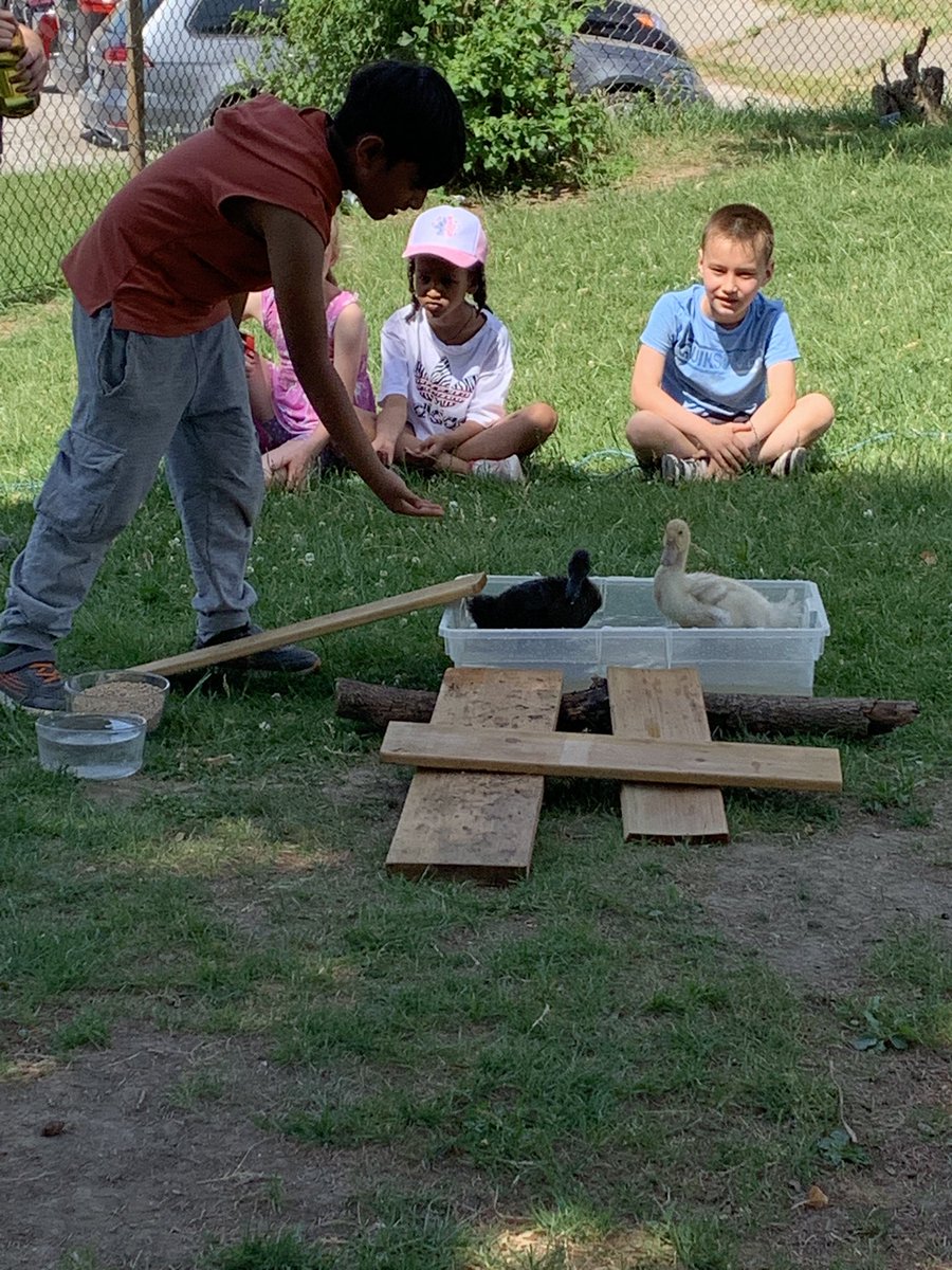 Our primary classes had a few visitors today!