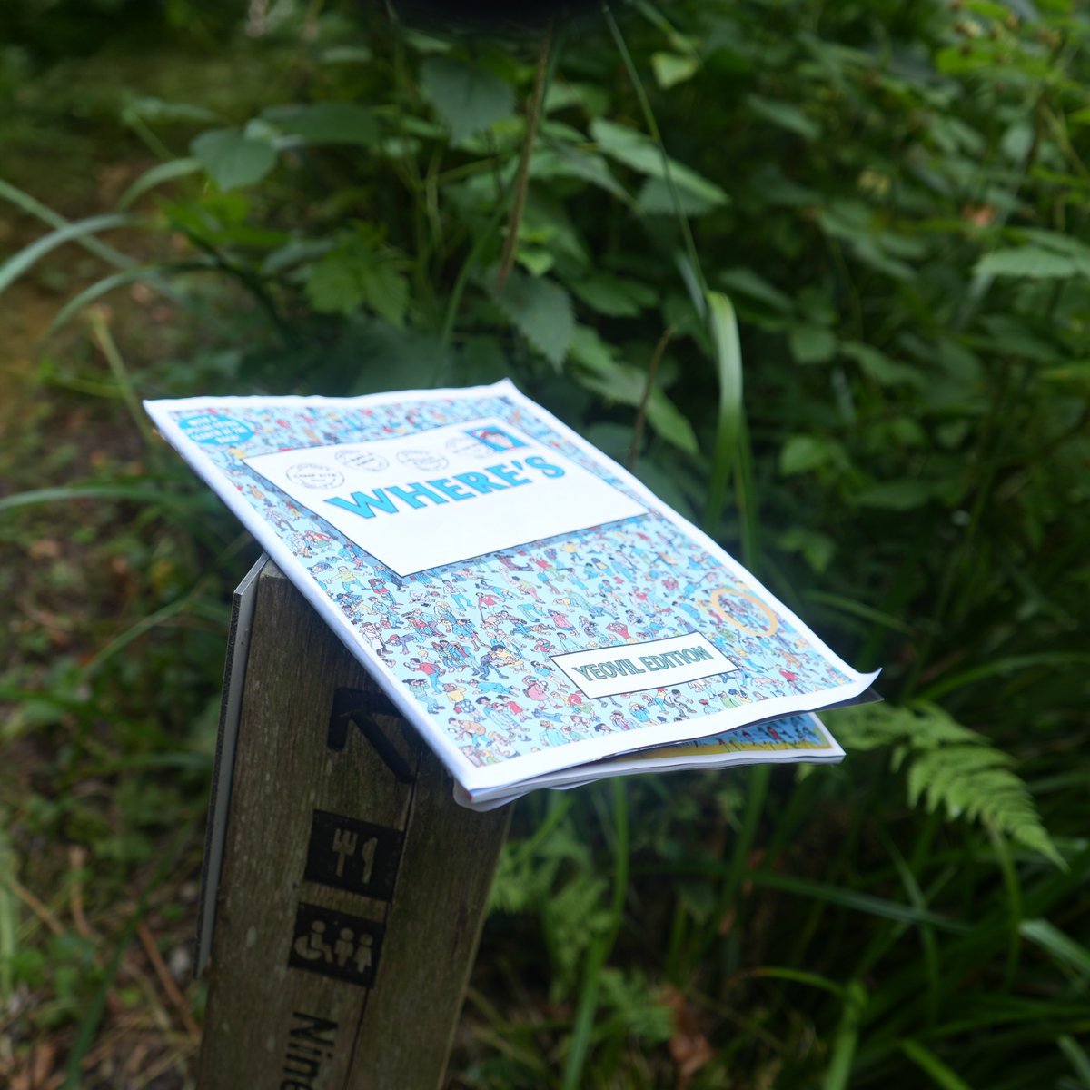 Yeovil Town FC tweet media