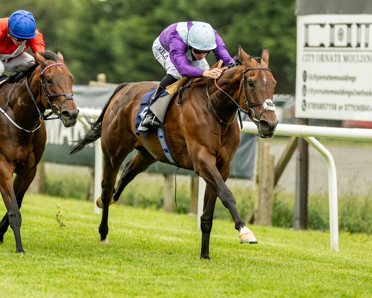 Brighton Racecourse (@brightonrace) on Twitter photo RACE 3 RESULT - Download The <a href="/StarSports_Bet/">Star Sports Bookmakers</a> App Maiden Stakes
🥇 Musical Angel
🥈 Kinswoman
🥉 Correspondence
Jockey: <a href="/_JasonWatson/">Jason Watson</a>
Trainer: Andrew Balding
Owner: J C Smith
📸 <a href="/dcoolimages/">Darren Cool Images</a> RACE 3 RESULT - Download The <a href="/StarSports_Bet/">Star Sports Bookmakers</a> App Maiden Stakes
🥇 Musical Angel
🥈 Kinswoman
🥉 Correspondence
Jockey: <a href="/_JasonWatson/">Jason Watson</a>
Trainer: Andrew Balding
Owner: J C Smith
📸 <a href="/dcoolimages/">Darren Cool Images</a>