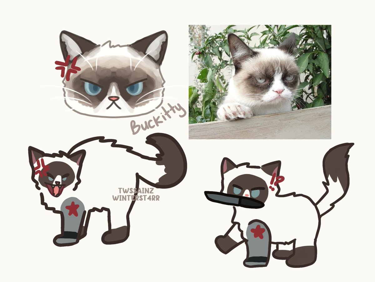 twssainz's tweet photo. #buckitty https://t.co/703xGAzoFr