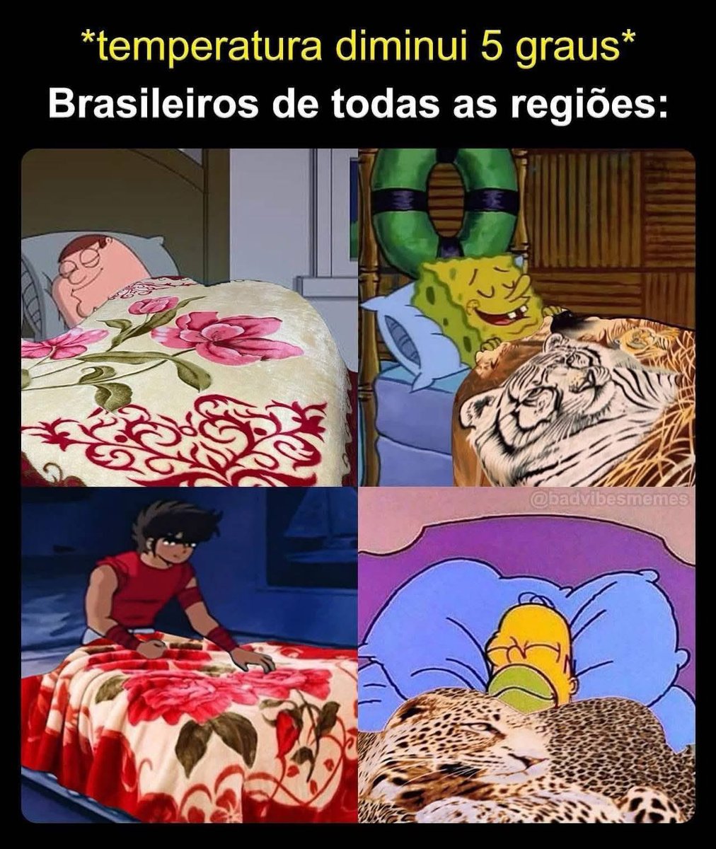 Rolê Aleatório (@rolealeatorio) on Twitter photo 