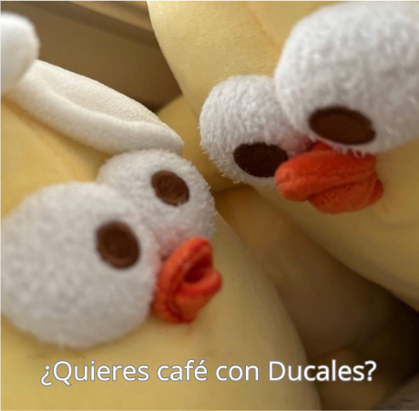 Mi forma de mostrar afecto es: