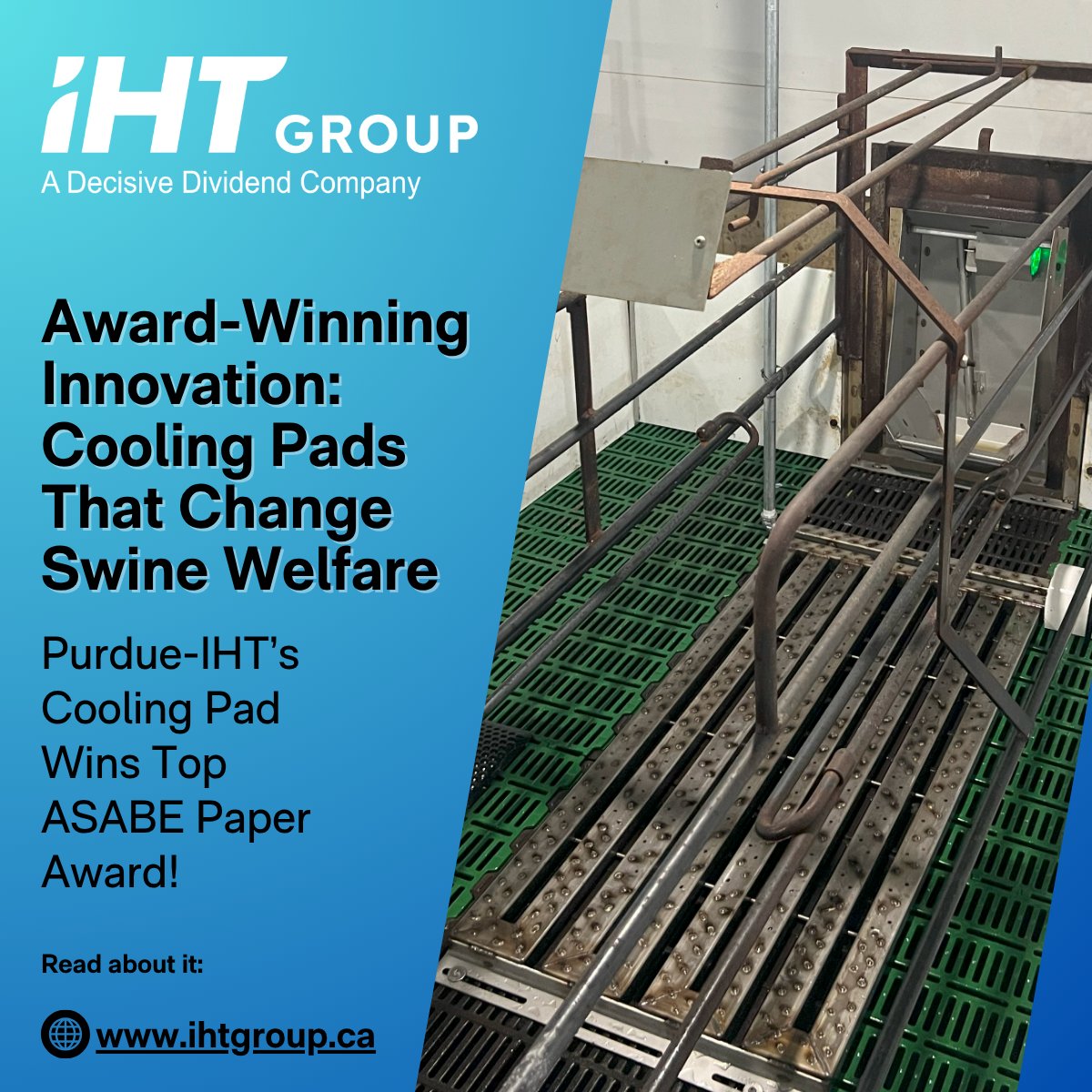 Keeping Sows Cool = Better Performance &amp; Welfare! 

Congratulations to Allan Schinckel, Robert Stwalley, Charles Sebright, and Samantha Neeno from <a href="/LifeAtPurdue/">Purdue University</a> on winning the 2025 ASABE Superior Paper Award for the cooling pad research. IHT commercializes its cooling pads.