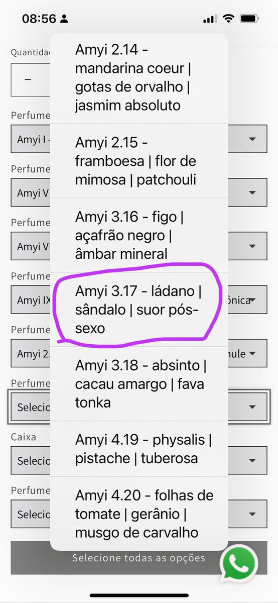 fui tentar montar um kit de mini perfumes da amyi e me deparei com essa pirâmide olfativa